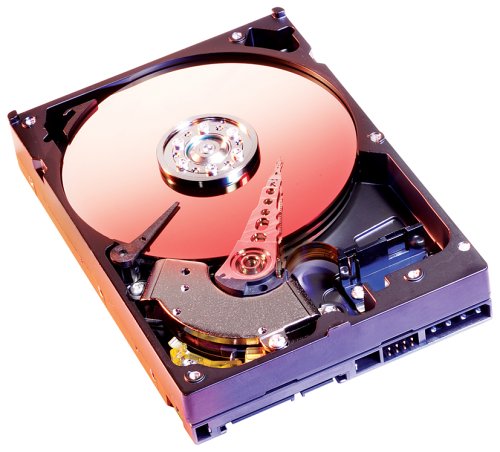 TFT Monitore: Western Digital WD800JDRTL2 Caviar 80GB Special Edition SATA 7200rpm 8MB Cache Retail Festplatte