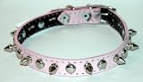 Spiked Dog Collars