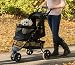 Pet Carrier : Pet Gear 