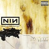 Lyrics to the Nine Inch Nails album The Downward Spiral