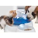 Hagen Catit Drinking Fountain (14