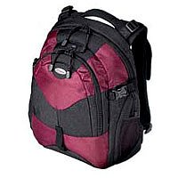 TV Geraete: Targus Campus Notebook Rucksack bis 15.4 Zoll, schwarz / rot