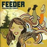 Pushing the Senses by Feeder