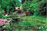 1000ピース 水の生まれる里-白川水源 10-629