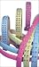 Designer Dog Collar : Swarovski Ice leash, fruit punch pink, size 4'