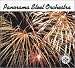 Panorama Steel Orchestra - 