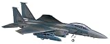 1/48 F-15E �X�g���C�N�C-�O�� #P8