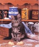 Ravensburger Puzzle - Tabby in the Kitchen (500 pieces)