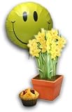 Daffodil Gift Muffins