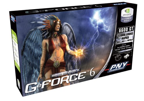 Projektoren: PNY NVIDIA GeForce 6 6600 GT 128MB AGP Grafikkarte