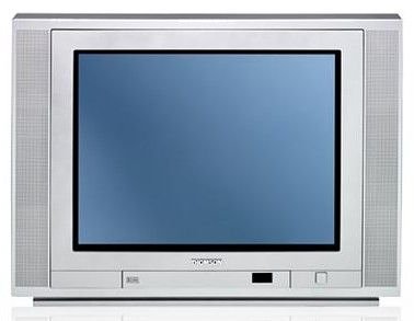 TV Ger&auml;te: Thomson 21 EX 215 T 4:3 Format 50 Hertz Fernseher