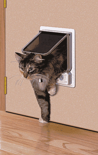 Cat Door, Pet Screen Door, Electronic Pet Door, Staywell Pet Door, Patio Pet Door, Automatic Pet Door