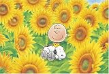 300ピース ひまわりにつつまれて