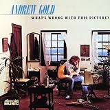 What's Wrong With This Picture by Andrew Gold