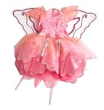 Barbie Fairytopia Dress Up Set with Wings
