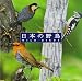 : 〈COLEZO!〉自然音 日本の野鳥