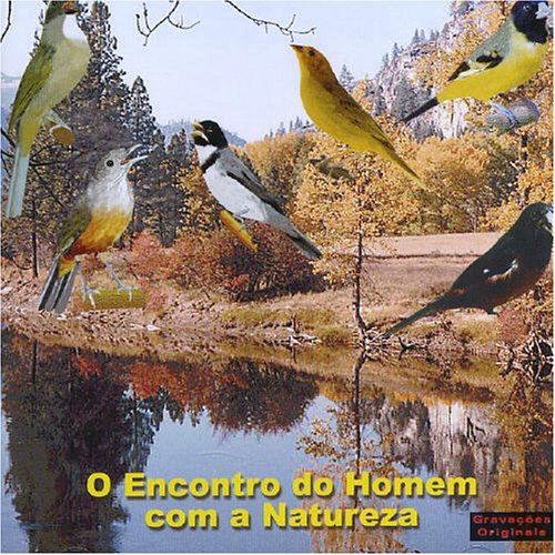O Encontro Do Homem Com a Natureza