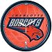 Charlotte Bobcats Wall Clock