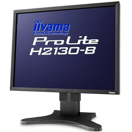 Navigationssysteme: Iiyama Pro Lite H2130B 21 Zoll TFT Monitor silber/anthrazit DVI