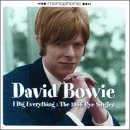 album art to I Dig Everything: The 1966 Pye Singles