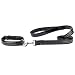 Casual Canine Pet Costume Graduation Med