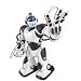 WowWee Robosapien Version 2 Humanoid Robot