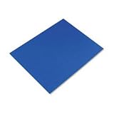 Colored 4-Ply Poster Board, 22 x 28, Dark Blue, 25 Boards/Carton (RIV04231)