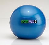 GoFit GF-WEB10 10lb Soft Weighted Toning Ball (Ball and poster)