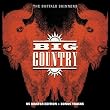 The Buffalo Skinners
