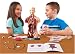 Edu Science Human Body Learning Game with Bonus Stethoscope