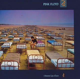 A Momentary Lapse of Reason (Paper Sleeve) [Jap. I