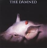 Strawberries by Damned
