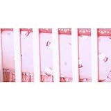 Hello Kitty Princess Fitted Crib Sheet