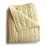 Tadpoles Basics Yellow Gingham Coverlet