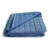 Tadpoles Basics Navy Gingham Coverlet