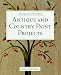 Decorating Furniture: Antique and Country Paint Projects (Decorating Furniture) by Sheila McGraw
