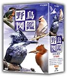 �쒹�}�� DVD-BOX