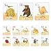 Alphabet Card Wall Art - Animal Parade