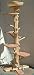Cat Furniture Item : One of a Kind 6 Foot 2 Inch Cedar Cat Tree