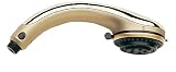 Grohe 28179R00 Relexa Plus Handshower Polished Brass