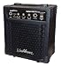   - Washburn Bad Dog 8 Watt Amp