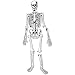 Skeleton Floor Puzzle