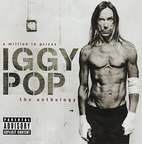 Iggy Pop - The Passenger Lyrics - Zortam Music