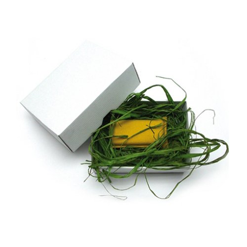 Projektoren: PULL-i Spezial Ostern f�r Apple iPod 3. und 4. Generation bis 30GB
