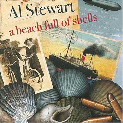 Beach Full of Shells