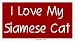 All Products : I Love My Siamese Cat Large Bumper Sticker