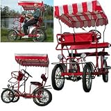 Two Person Steel Cycle Roadster Bicycle Free Shipping!