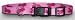 Small Dog Collar : 12