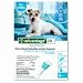 Small Dog Collar : Advantage Flea Control for Dogs 11-20 lbs. (Twelve Dose (12-applications))