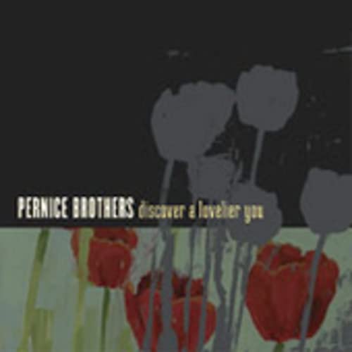 Pernice Brothers&nbsp;-&nbsp;Discover a Lovelier You